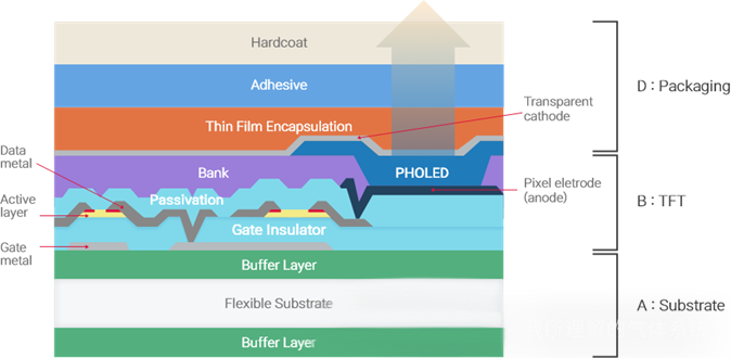 Demystifying AMOLED: Innovations in LTPO Backplanes and Colorization Technologies